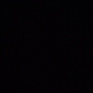 Meet your Posher, Lily